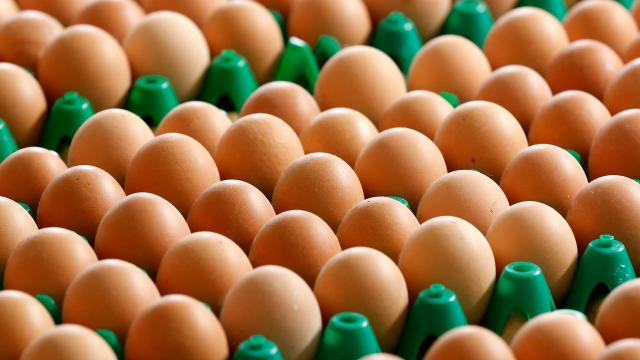 stromen inhoud mouw Tsang: “Overschot aan eieren beïnvloedt prijs” - Suriname Herald