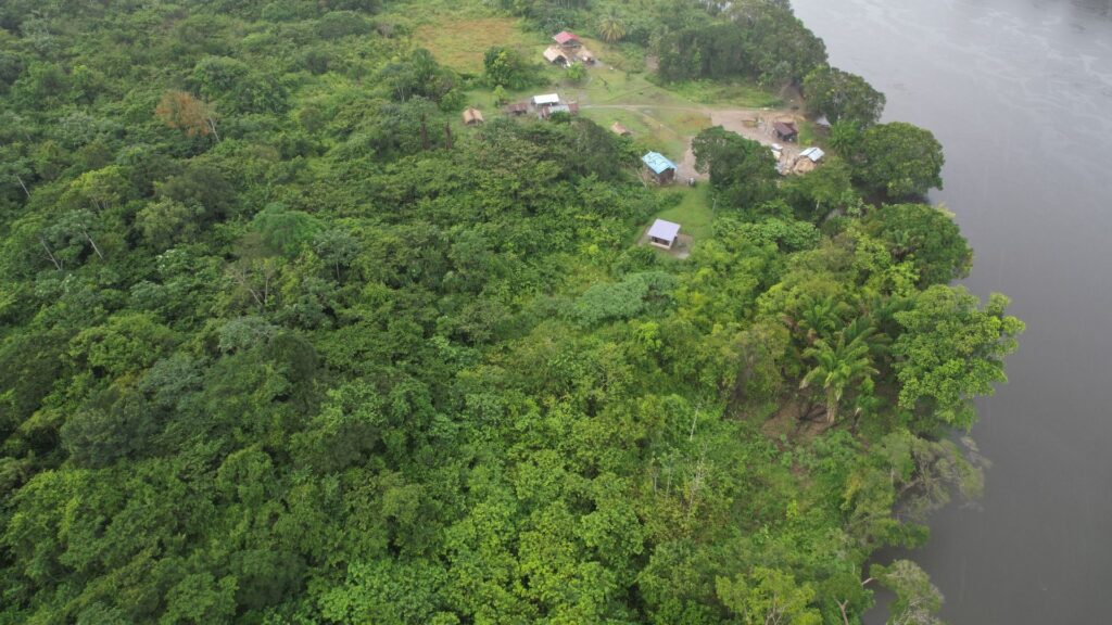 Droughts have caused repeated cassava crop failures, disrupting the production of staple foods and beverages like Kasiri. 